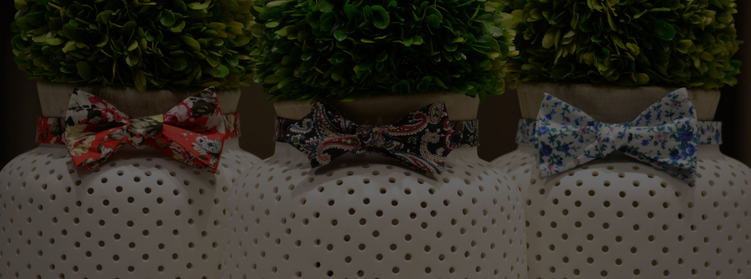 Paisley Self Tie Bow Ties Collection